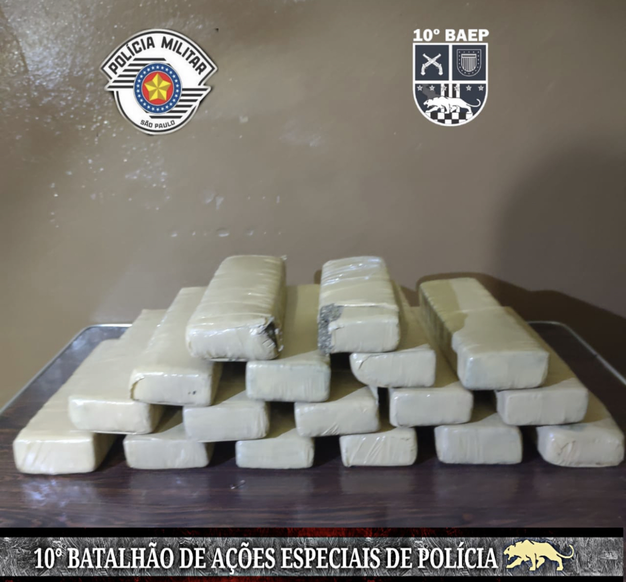 Drogas apreendidas (Foto: Polícia Militar)