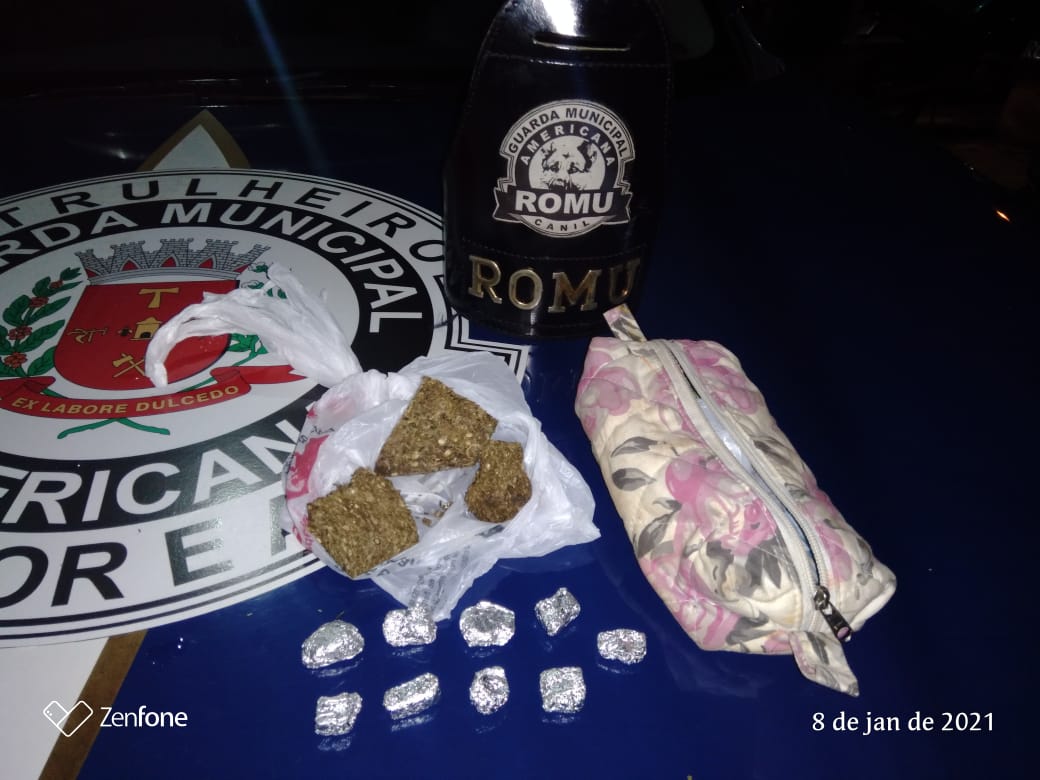 Drogas apreendidas (Foto: Guarda Municipal)